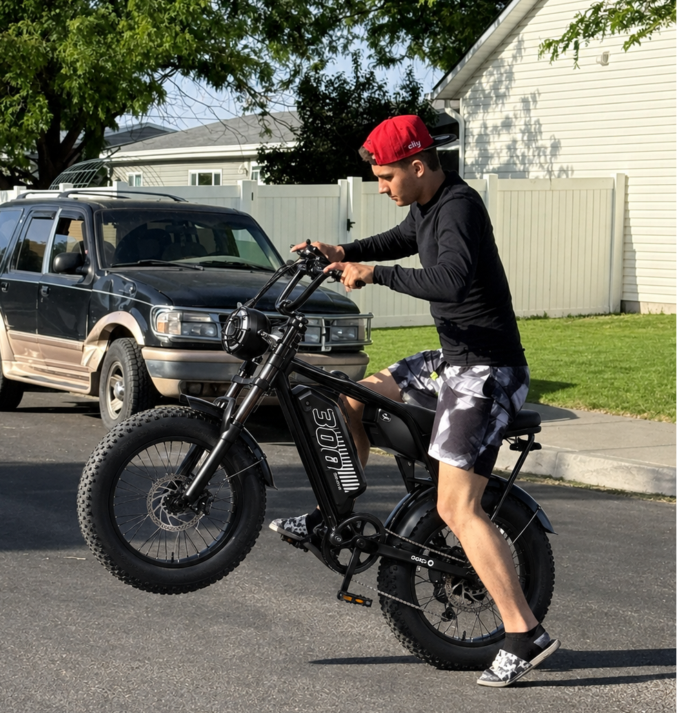 Eskute V300 Plus 48V 41.6Ah Dual Battery Electric Bike for Adults