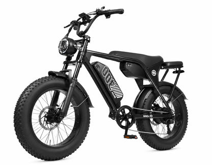 Eskute V300 Plus 48V 41.6Ah Dual Battery Electric Bike for Adults