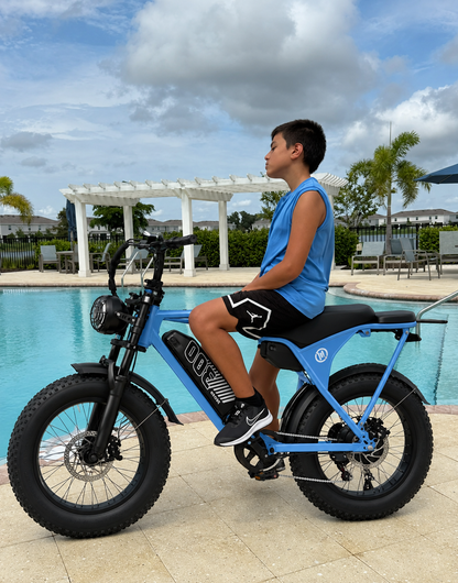 Eskute V300 Plus 48V 41.6Ah Dual Battery Electric Bike for Adults