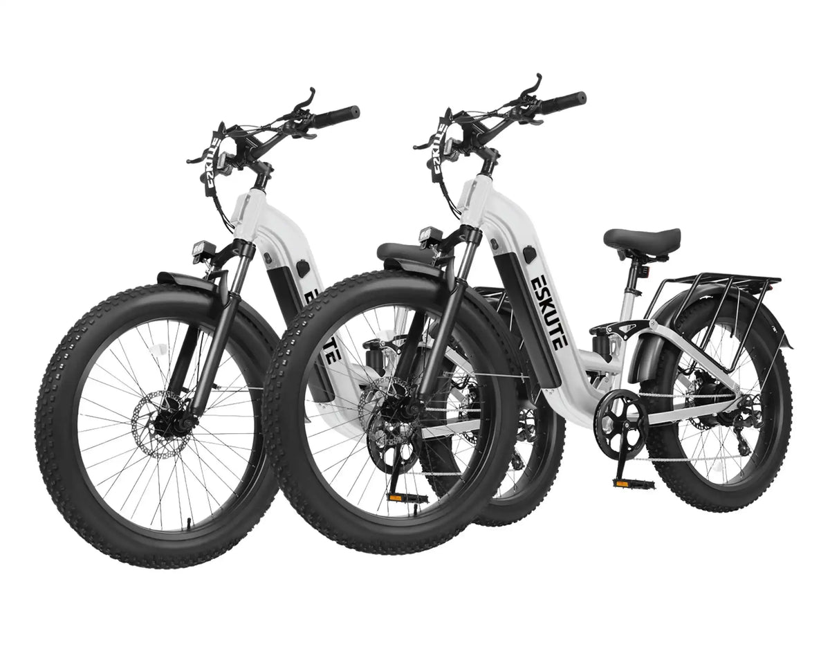 Eskute® C300R ST All-Terrain Electric Bike
