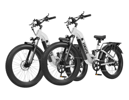 Eskute® C300R ST All-Terrain Electric Bike