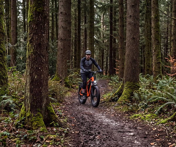 TRAIL
