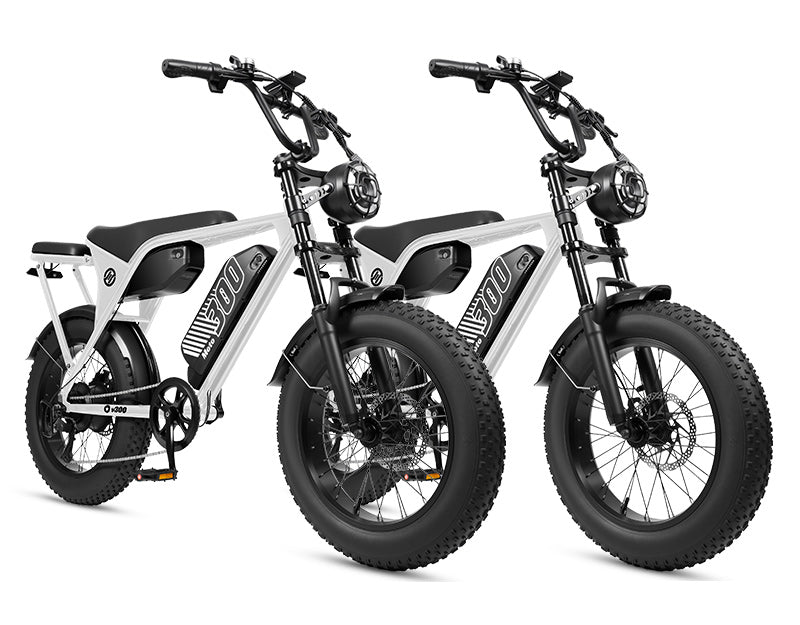 Eskute V300 Plus 48V 41.6Ah Dual Battery Electric Bike for Adults