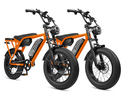 Eskute V300 Plus 48V 41.6Ah Dual Battery Electric Bike for Adults