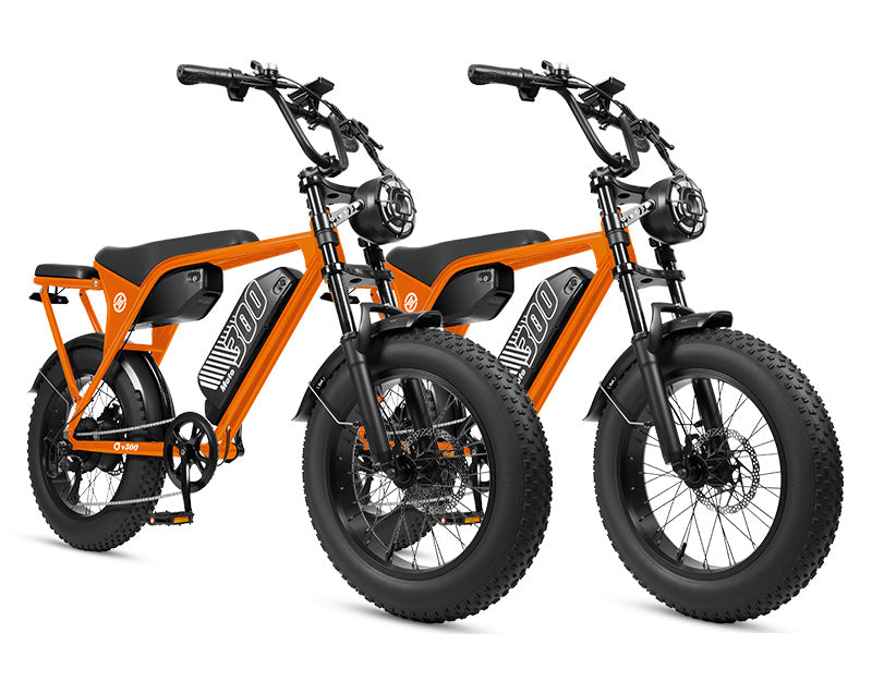 Eskute V300 Plus 48V 41.6Ah Dual Battery Electric Bike for Adults