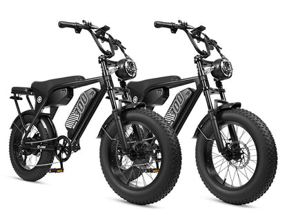 Eskute V300 Plus 48V 41.6Ah Dual Battery Electric Bike for Adults