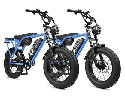 Eskute V300 Plus 48V 41.6Ah Dual Battery Electric Bike for Adults