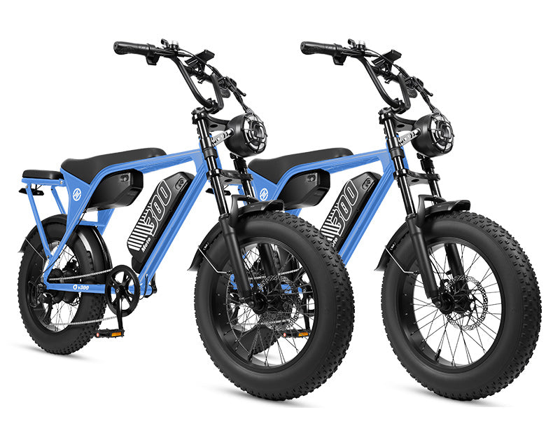 Eskute V300 Plus 48V 41.6Ah Dual Battery Electric Bike for Adults