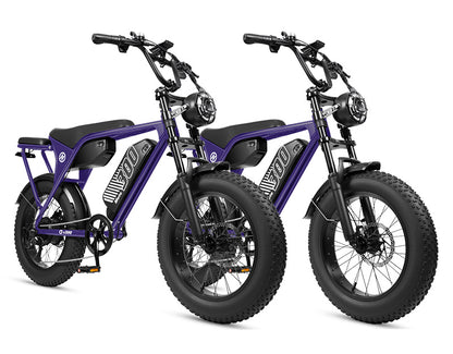 Eskute V300 Plus 48V 41.6Ah Dual Battery Electric Bike for Adults