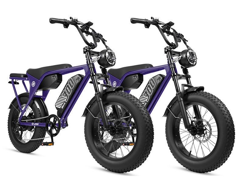 Eskute V300 Plus 48V 41.6Ah Dual Battery Electric Bike for Adults