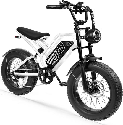 Eskute V300 Plus 48V 41.6Ah Dual Battery Electric Bike for Adults