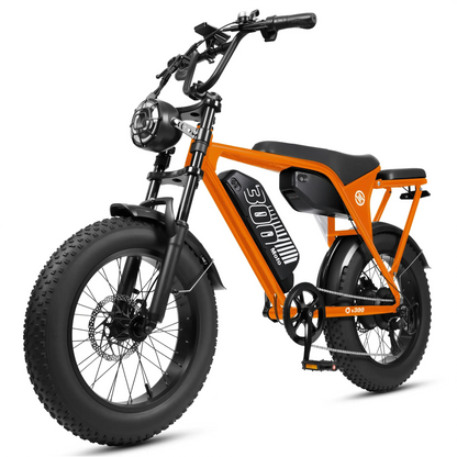 Eskute V300 Plus 48V 41.6Ah Dual Battery Electric Bike for Adults