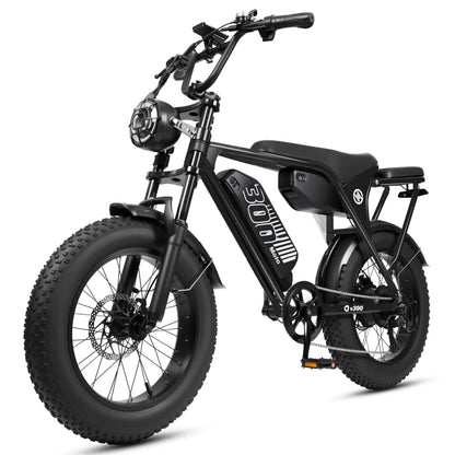 Eskute V300 Plus 48V 41.6Ah Dual Battery Electric Bike for Adults