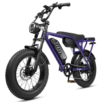 Eskute V300 Plus 48V 41.6Ah Dual Battery Electric Bike for Adults